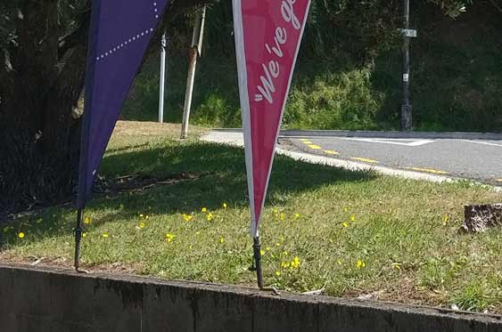 Teardrop Flag design wellington